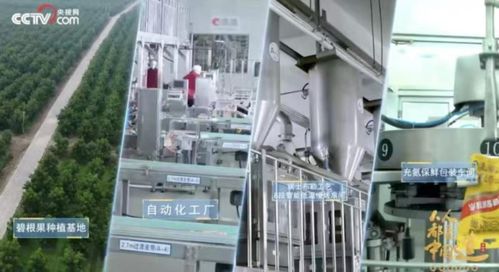 洽洽20年 一把堅(jiān)果背后的匠心與堅(jiān)守，與網(wǎng)絡(luò)科技領(lǐng)域技術(shù)開發(fā)的跨界啟示